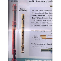 Die Flöte : Instrumenten - Poster