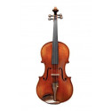 Viola