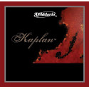 Kaplan