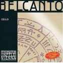 Belcanto Gold