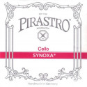 Synoxa