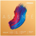 Ascenté