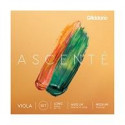 Ascenté